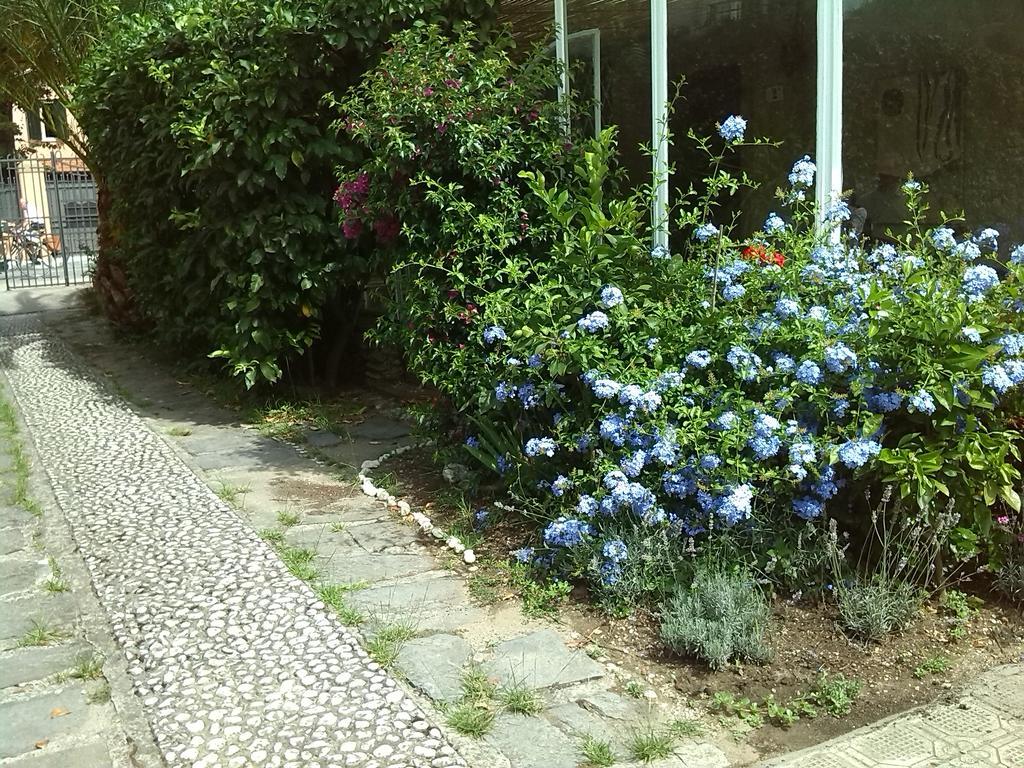 Il Nido Sul Mare A Forte Dei Marmi Kamer foto
